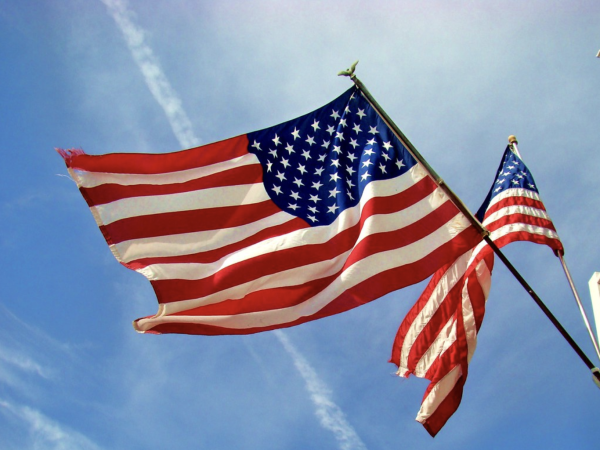 A picture of American flags, taken by Eric Lynch in 2008 and licensed under Creative Commons.